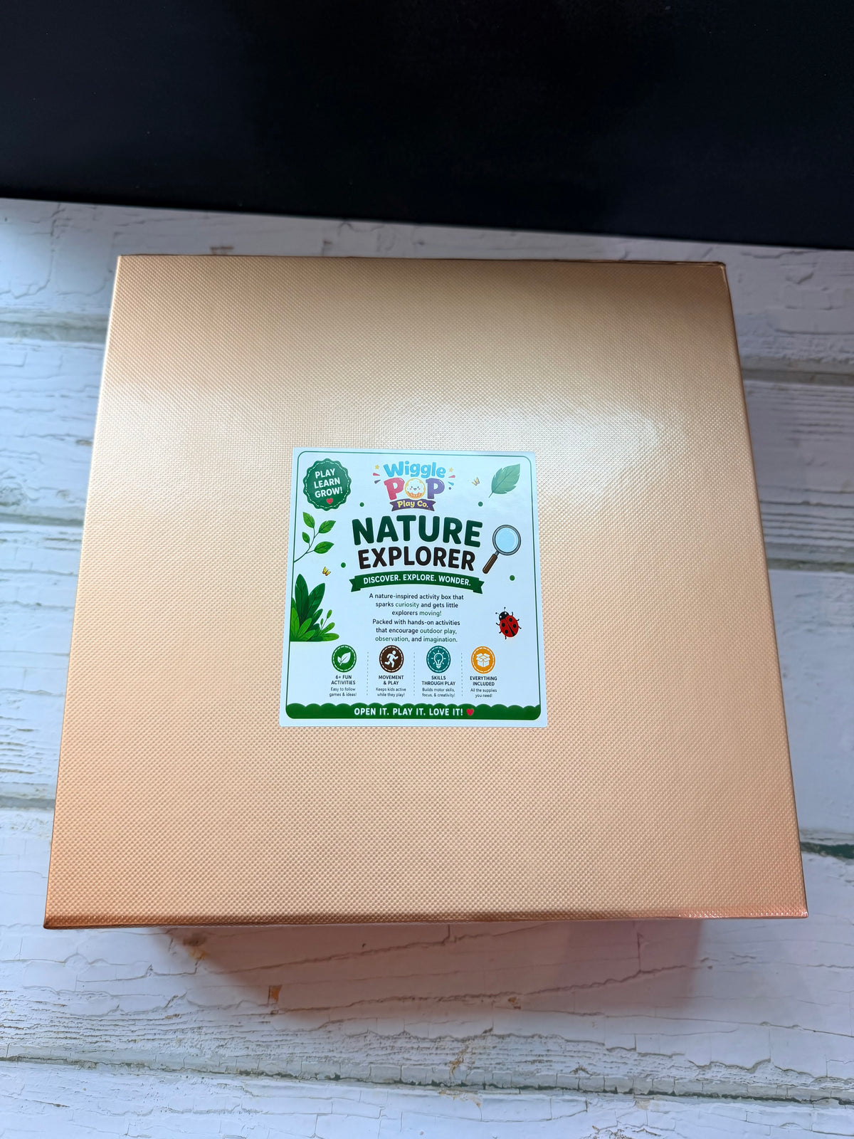 Nature Explorer Play Box