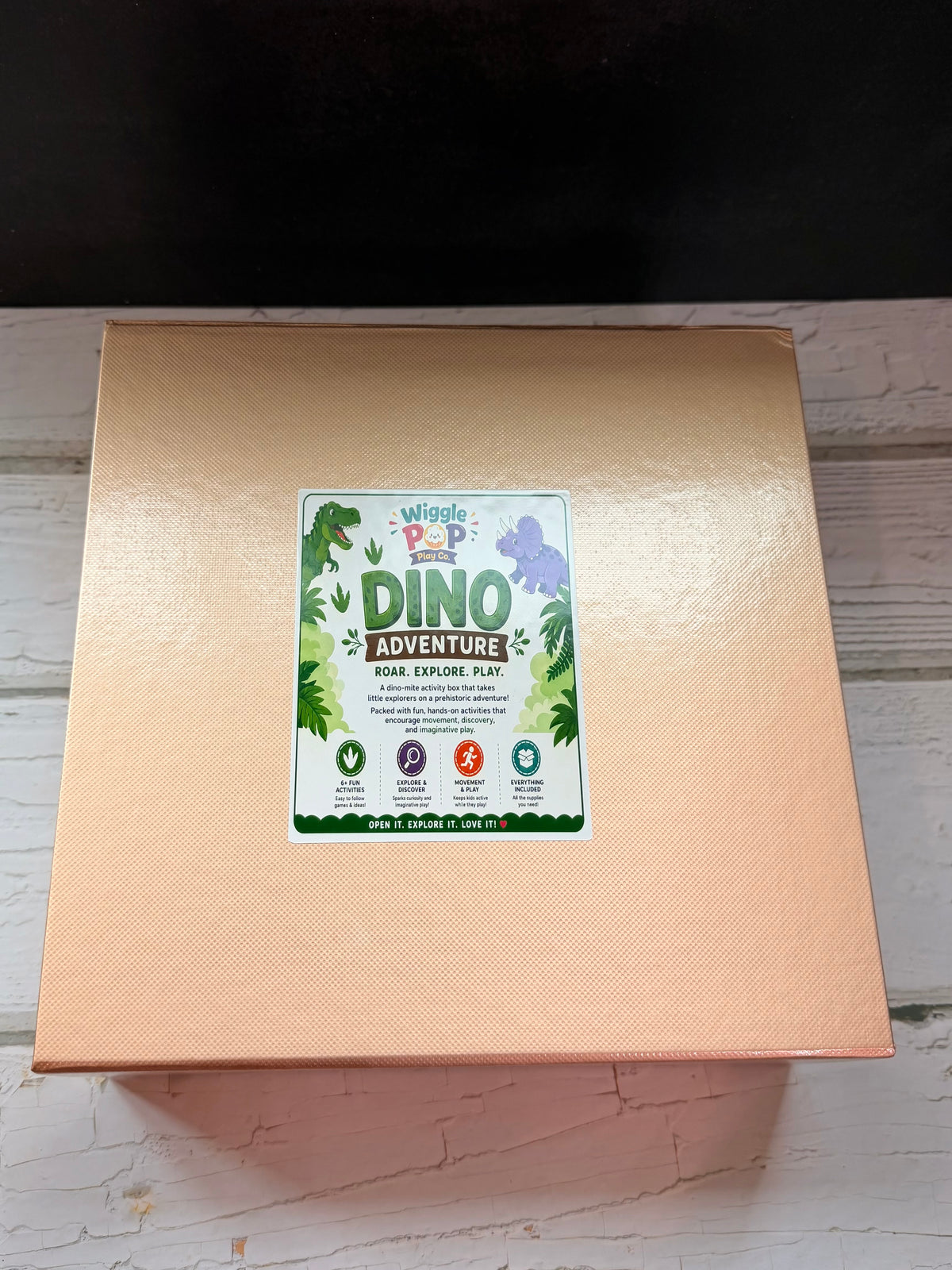 Dino Adventure Play Box