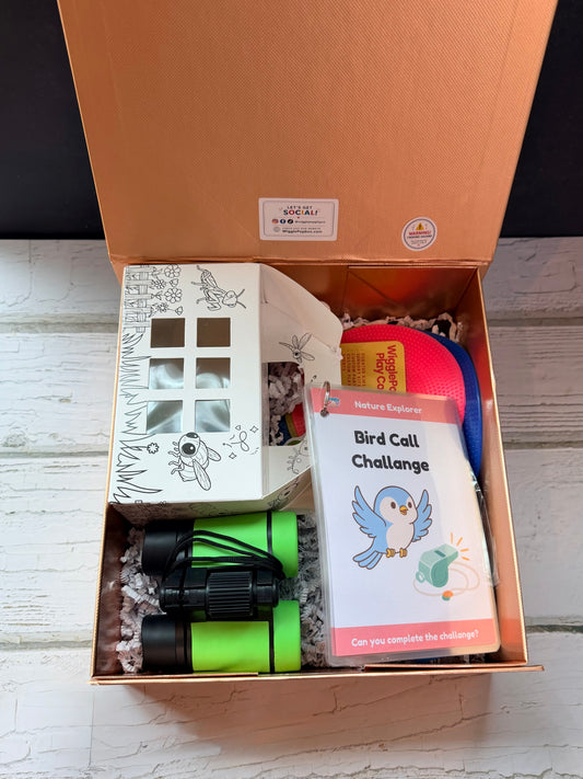 Nature Explorer Play Box