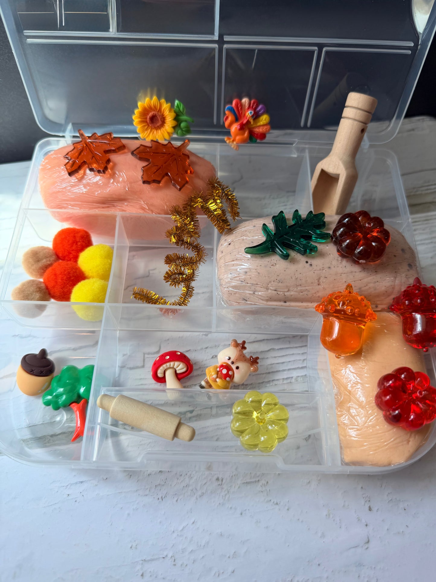 Fall Days Play Dough Kit