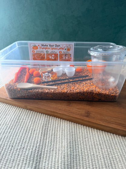 Pumpkin Spice Fall Sensory Bin | Themed kids sensory bin
