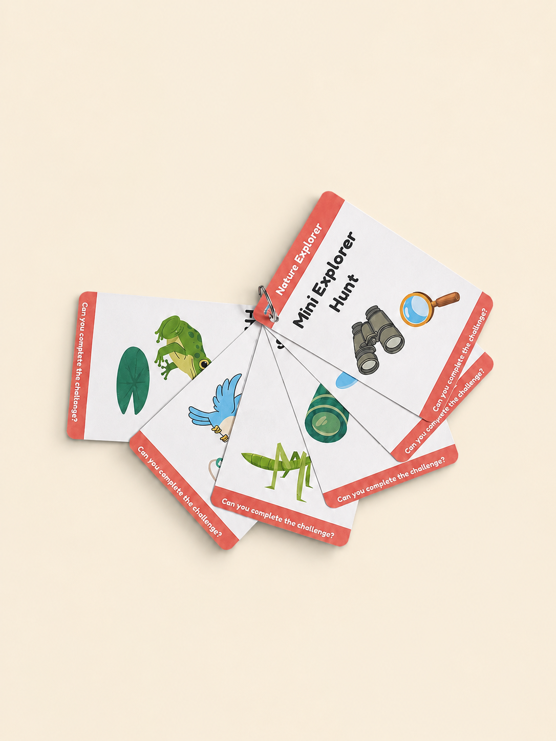 A fanned-out set of educational cards titled 'Mini Explorer Hunt' on a solid light beige background. The cards are white with coral-red borders and feature colorful illustrations of nature-themed items like a green frog, blue bird, green caterpillar, and black binoculars.