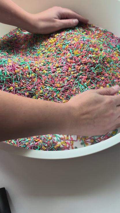 Candyland wiggles dump and play bag | Kids sensory bin filler