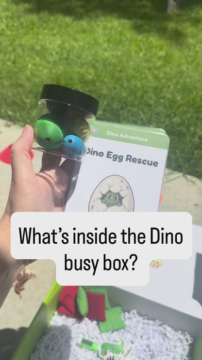 Dino Adventure Play Box